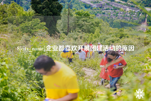 大理企业都喜欢开展团建活动的原因